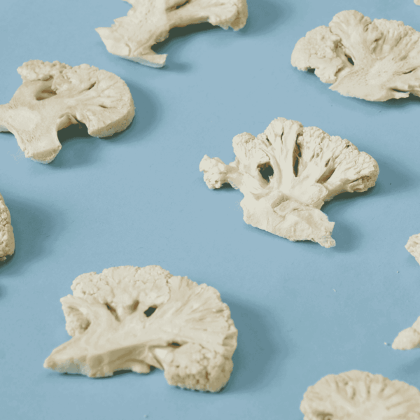 Freeze Dried Karnabahar Cipsi - Image 3